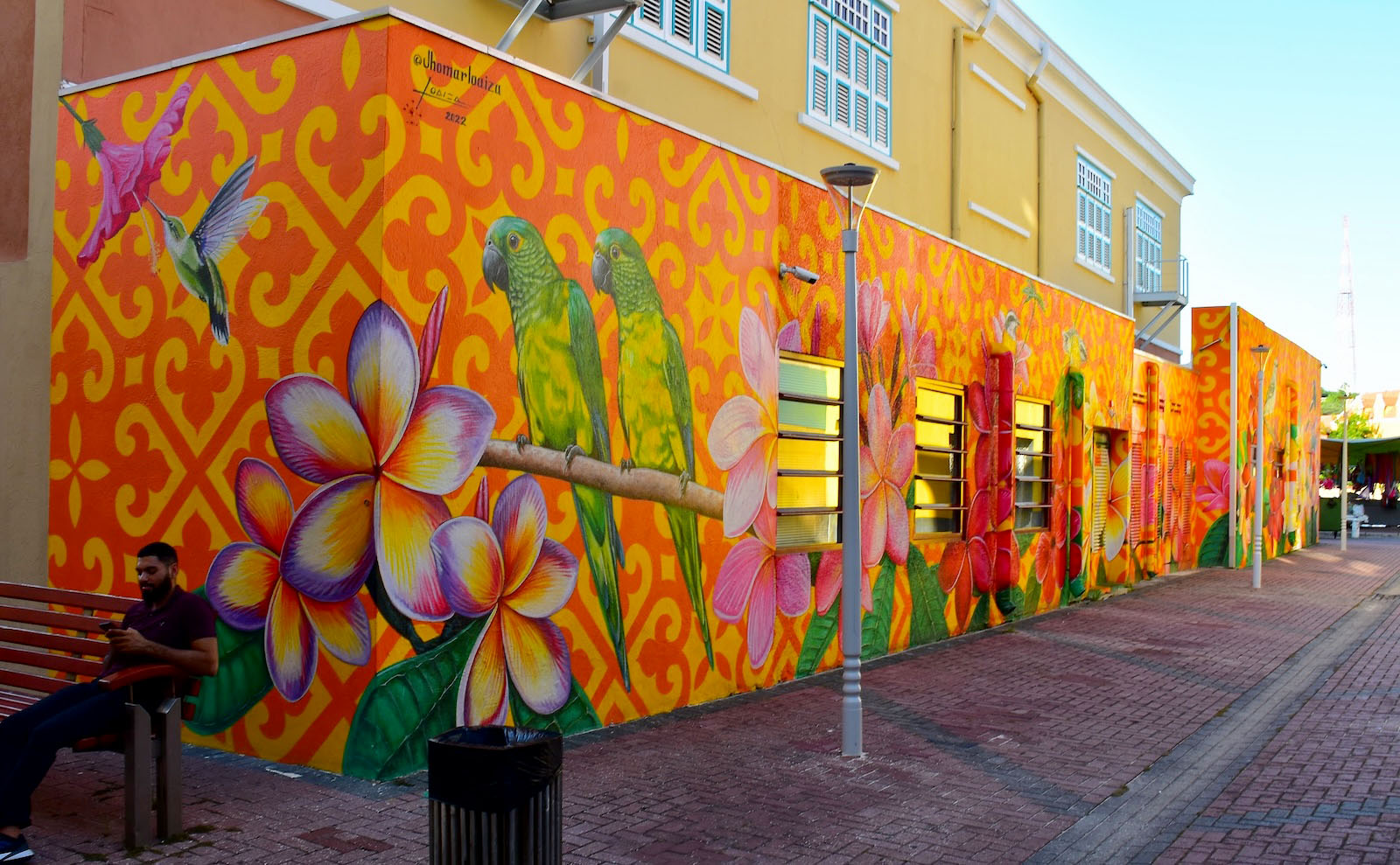 A street art mural featuring two green parrots, flowers, and a humming bird feeding from a flower on an orange and yellow patterened background.