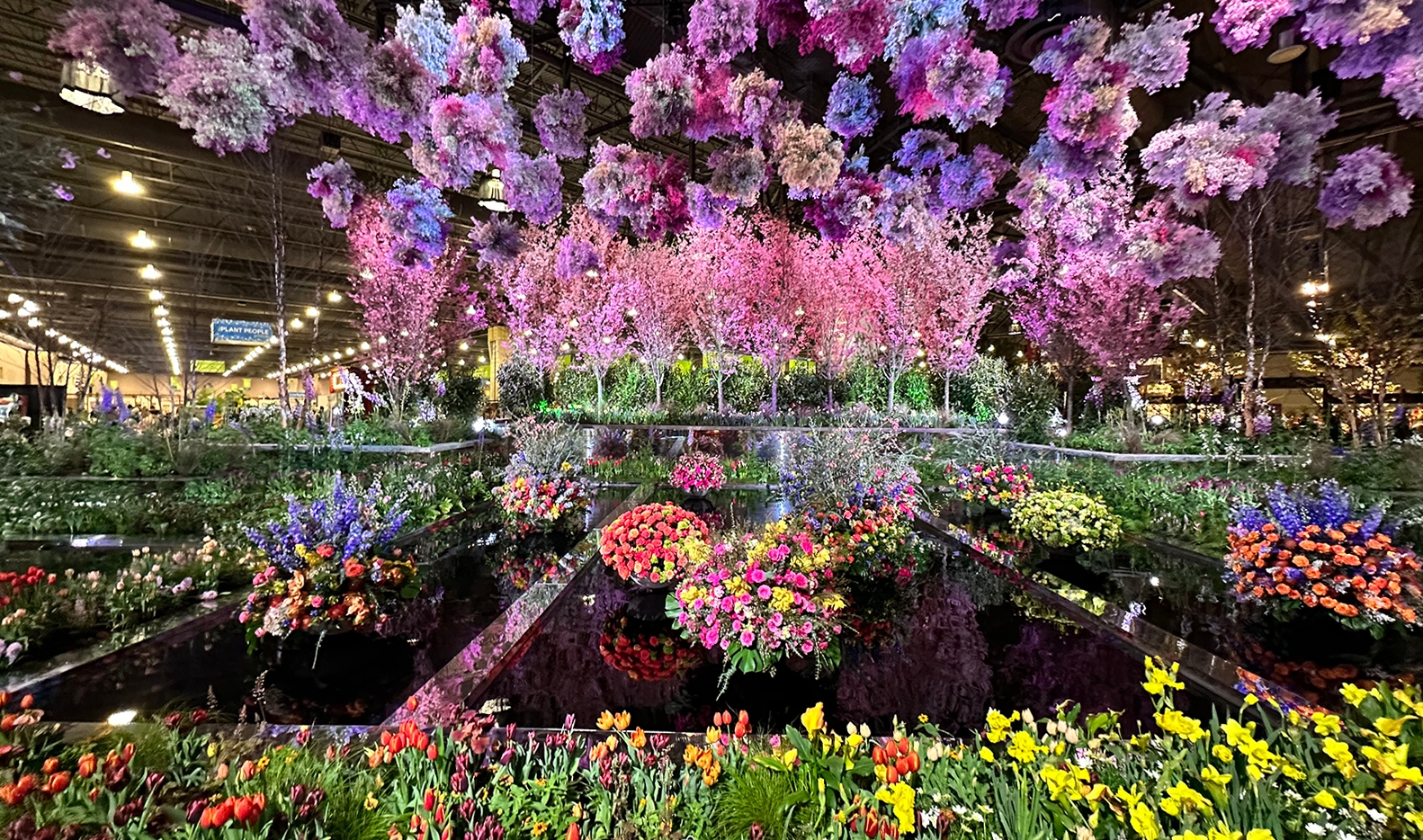 Philly-flower-show-1 The central Philadelphia Flower Show entrance display featuring pink and purple hydrangea blooms hanging from the ceiling. Flowers of every shape and color are arranged around three rectangular pools.