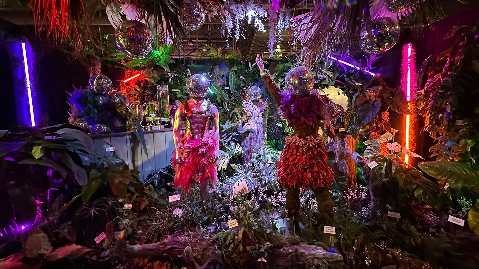 Philly-flower-show-2 An art installation at the Philadelphia Flower Show mean to recreate the inside of a nightclub. Everything is made of flowers. There is a DJ booth. all the figures are covered in flowers and have mirrored balls for heads.