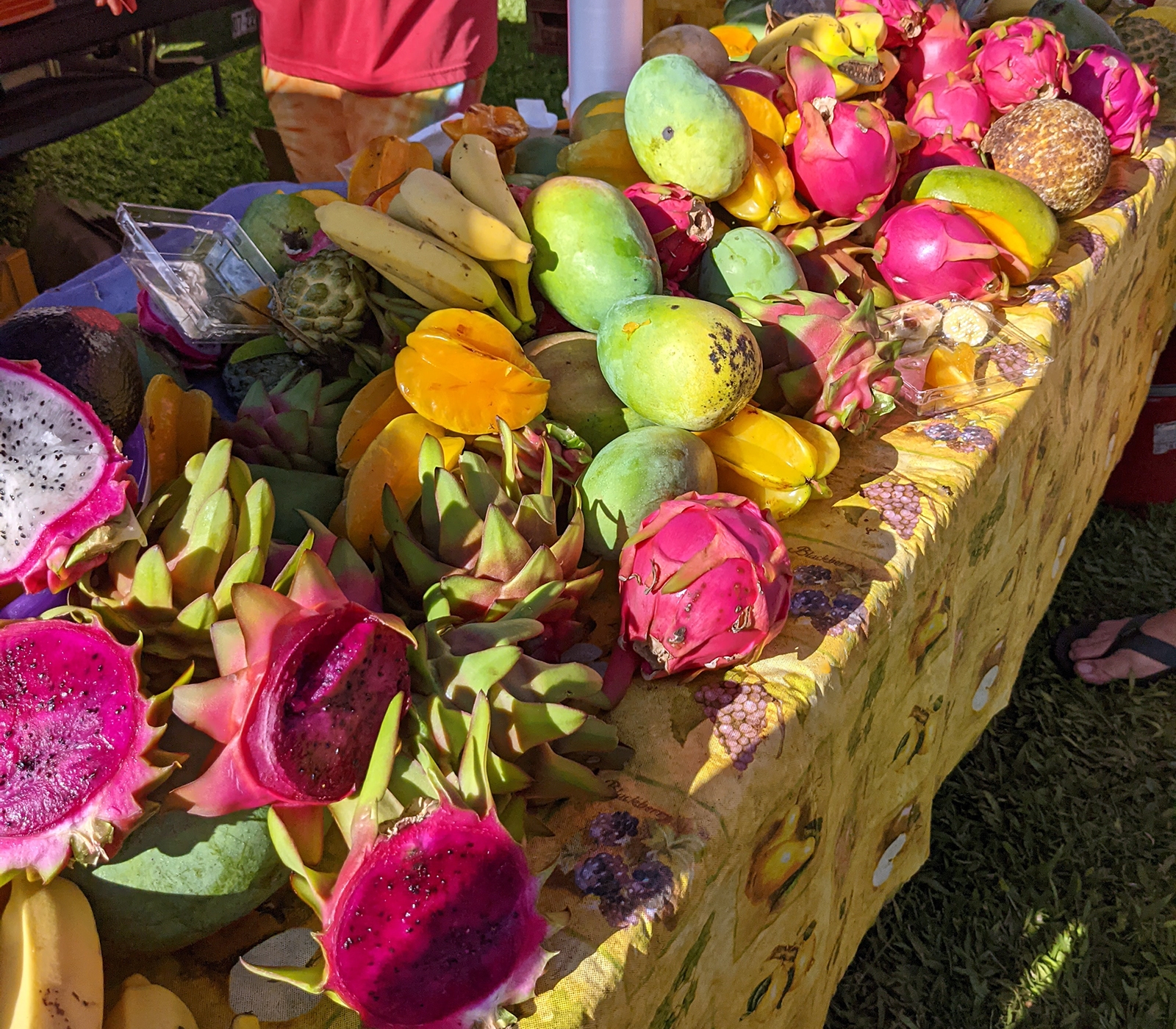 Waipa-Farmers-Market A table of fruit at the Waipa Farmers Market