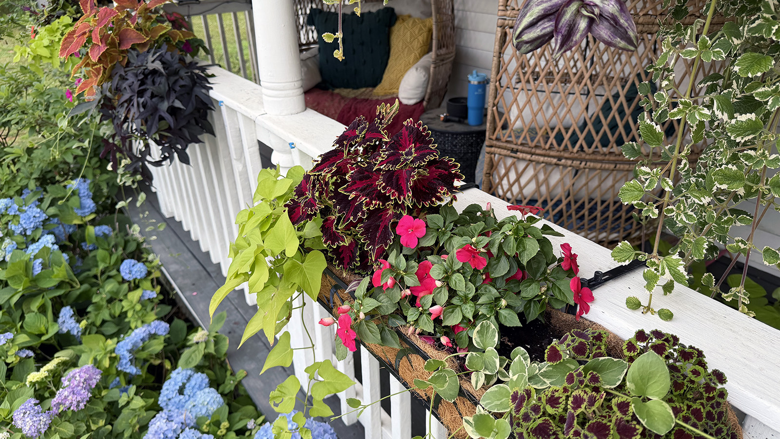 porch-railing Front porch railing planter filled with coleus, impatiens, sweet potato vine, and trailing vinca vine.