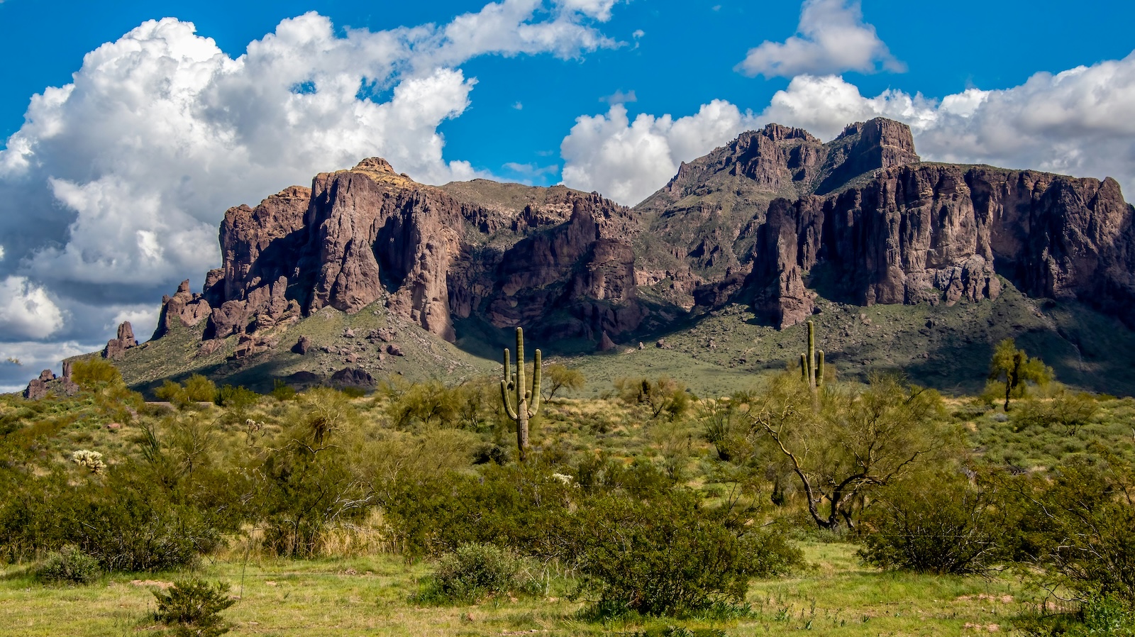 Lost-Dutchman The rugged Superstition Mountains rising above saguaro cacti and desert vegetation in Lost Dutchman State Park.