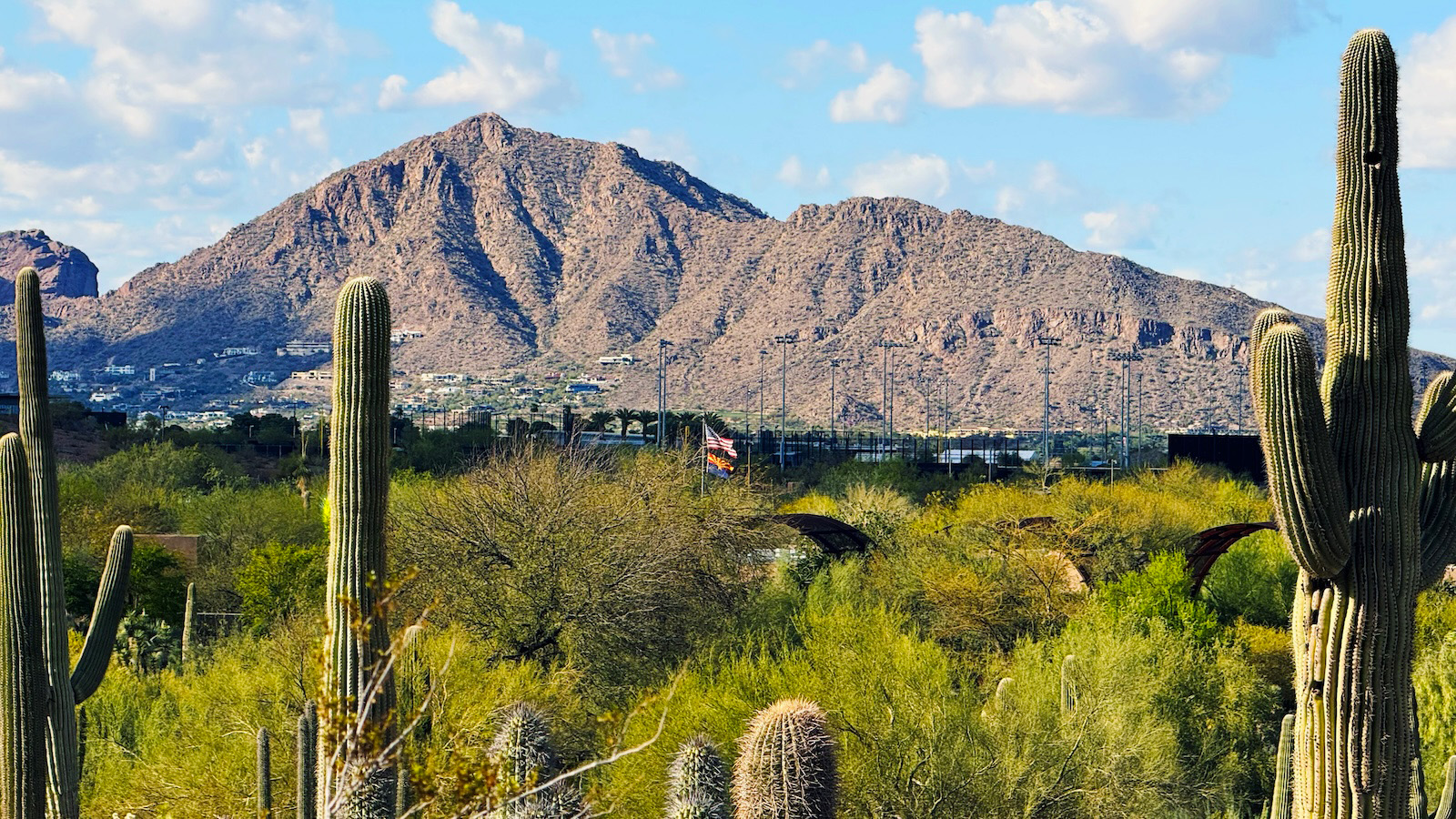camelback-mountain Camelback Mountain rising behind tall saguaro cacti and dense Sonoran Desert vegetation in Phoenix, Arizona.