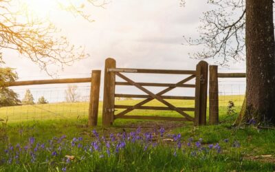 No Is Not the Beginning of a Negotiation